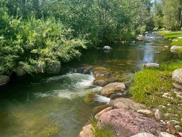 a view of a lake from a yard