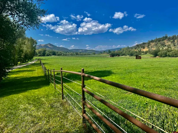 a view of green field with trees in the background