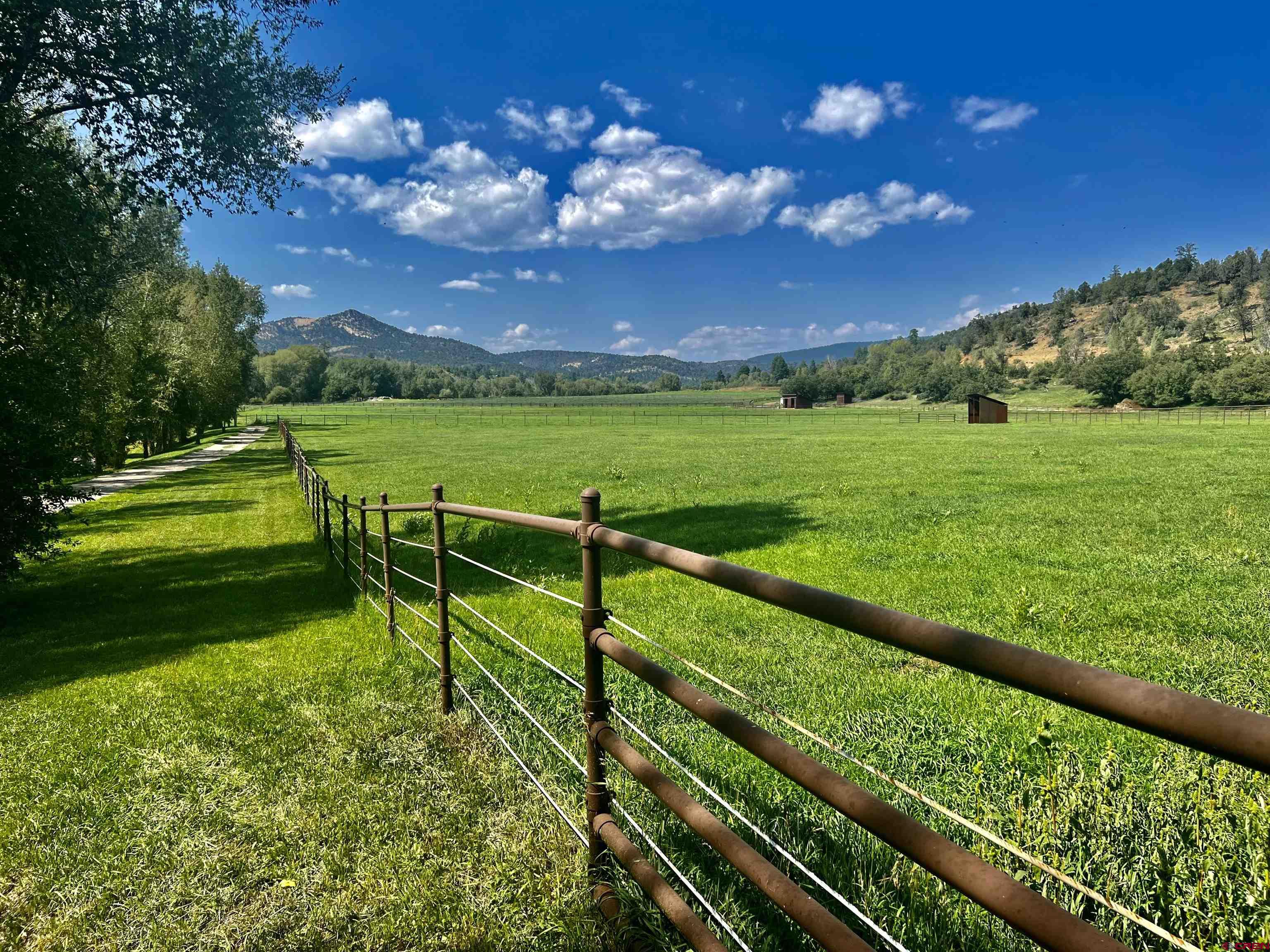 2777 County Road 225 Durango, CO 81301 - Photo 3 of 35