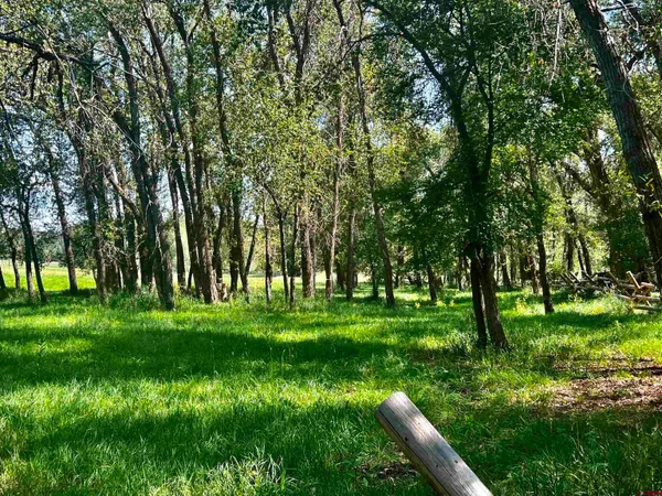 a view of a grassy field