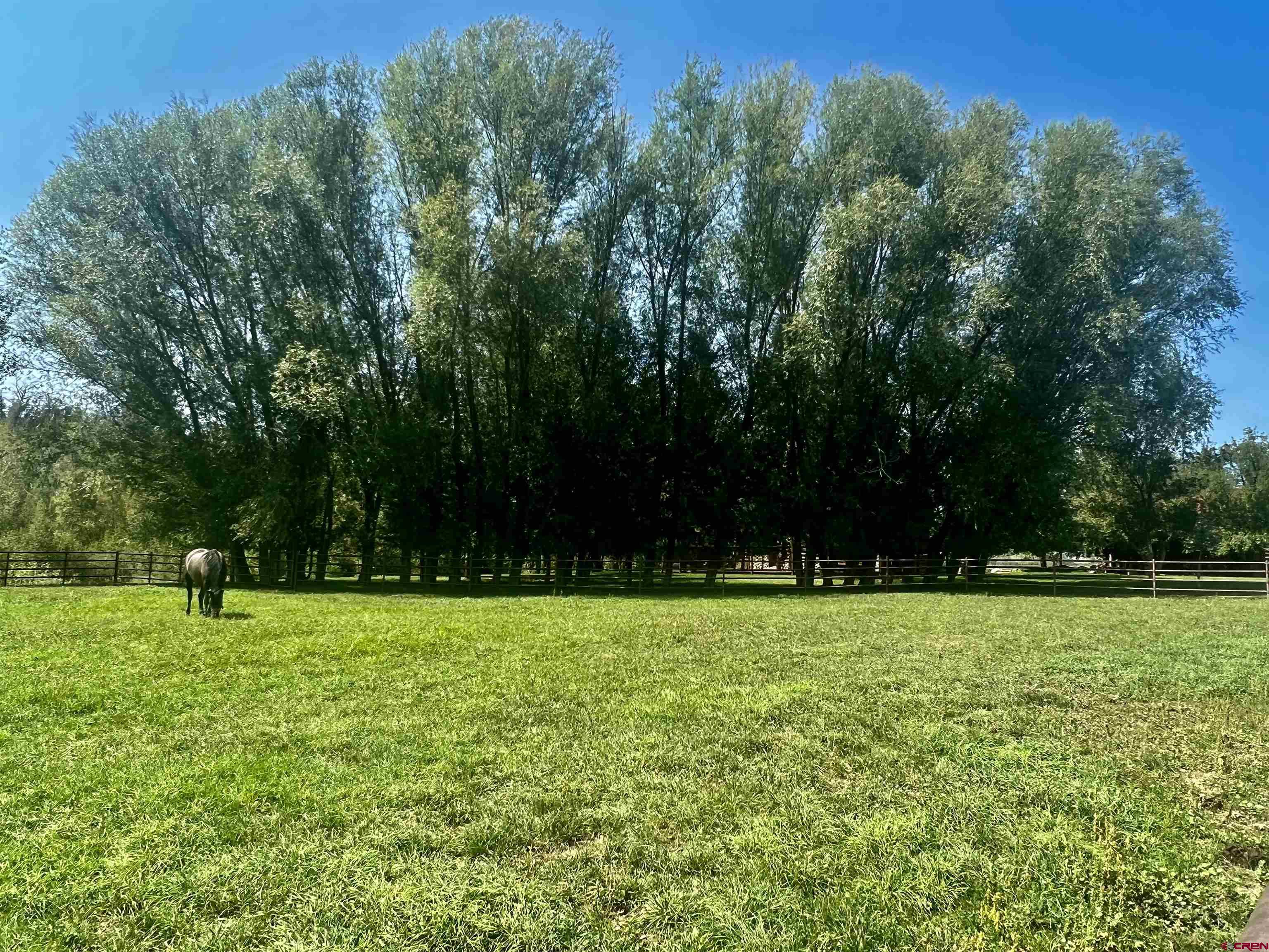2777 County Road 225 Durango, CO 81301 - Photo 5 of 35 a view of green field with trees in the background