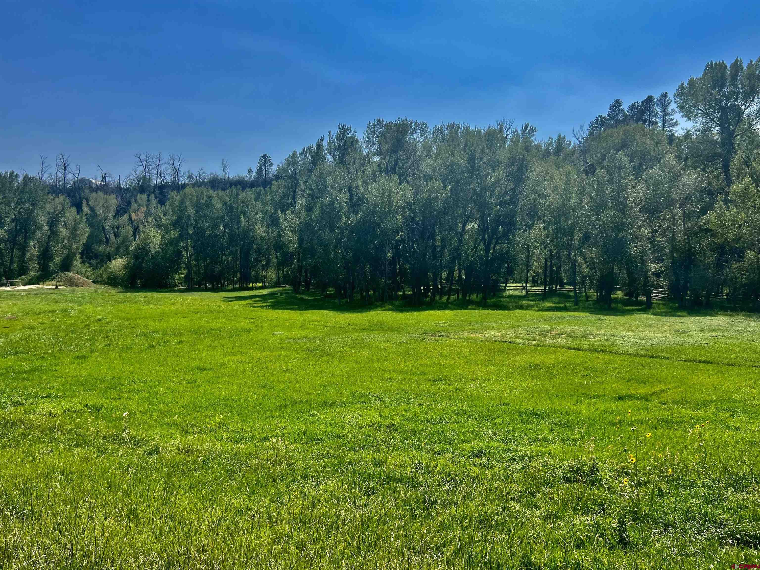 2777 County Road 225 Durango, CO 81301 - Photo 6 of 35 a view of a grassy field