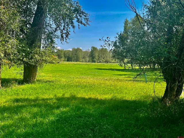 a view of a golf course