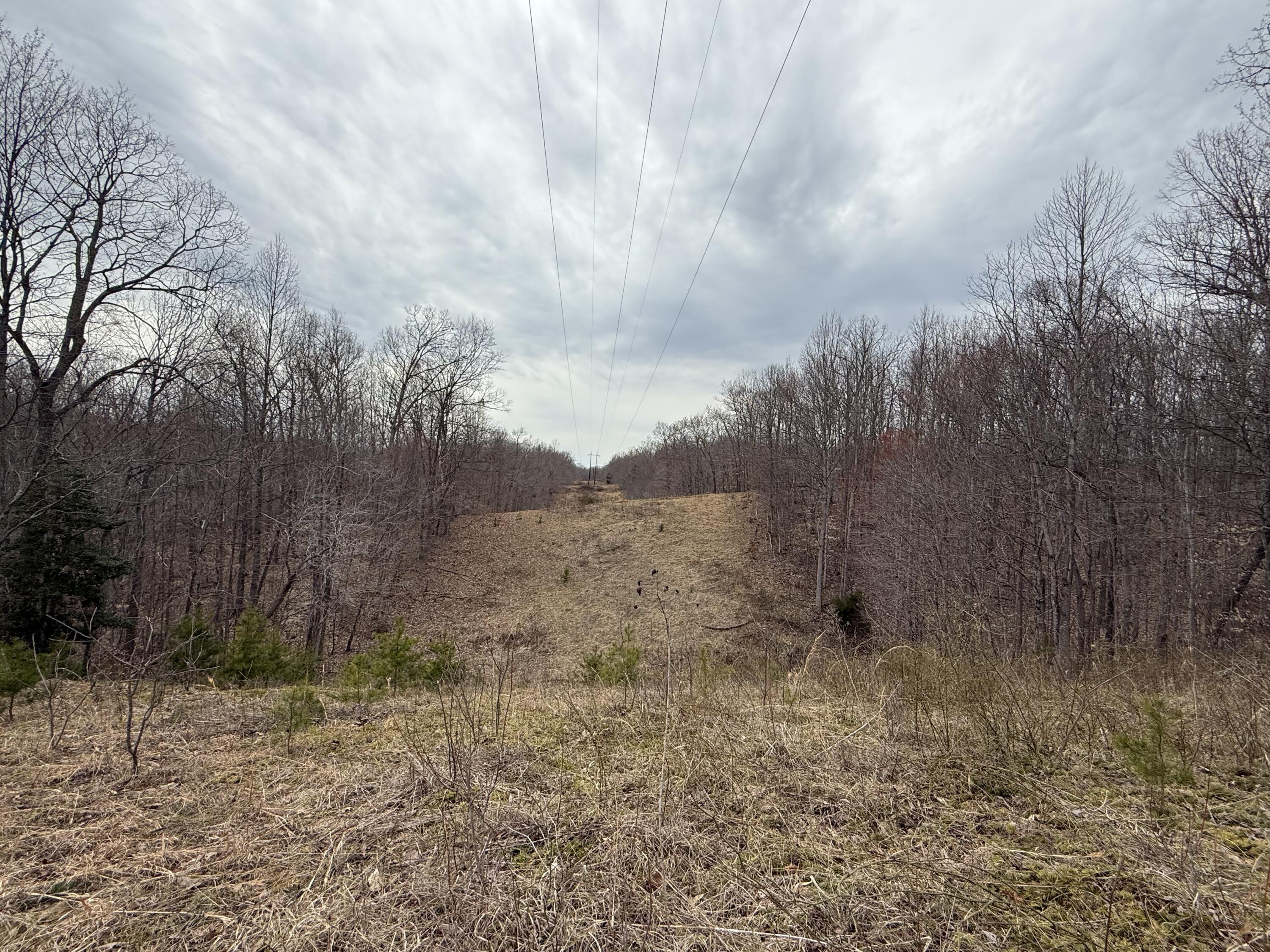 0 Morehead Road Wallingford, KY 41093 - Photo 9 of 18 Utility Cut threw