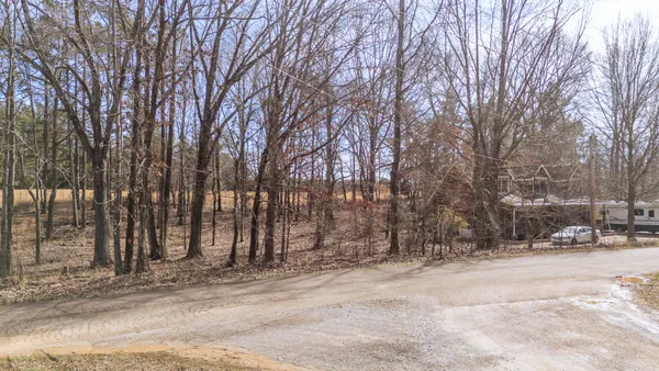 a view of outdoor space with trees