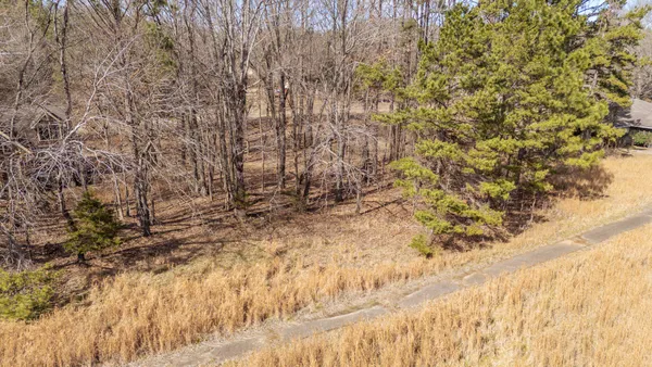$9,500 | 1449 Fairway Drive, Saulsbury, TN 38067