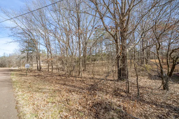 a view of a yard covered with snow