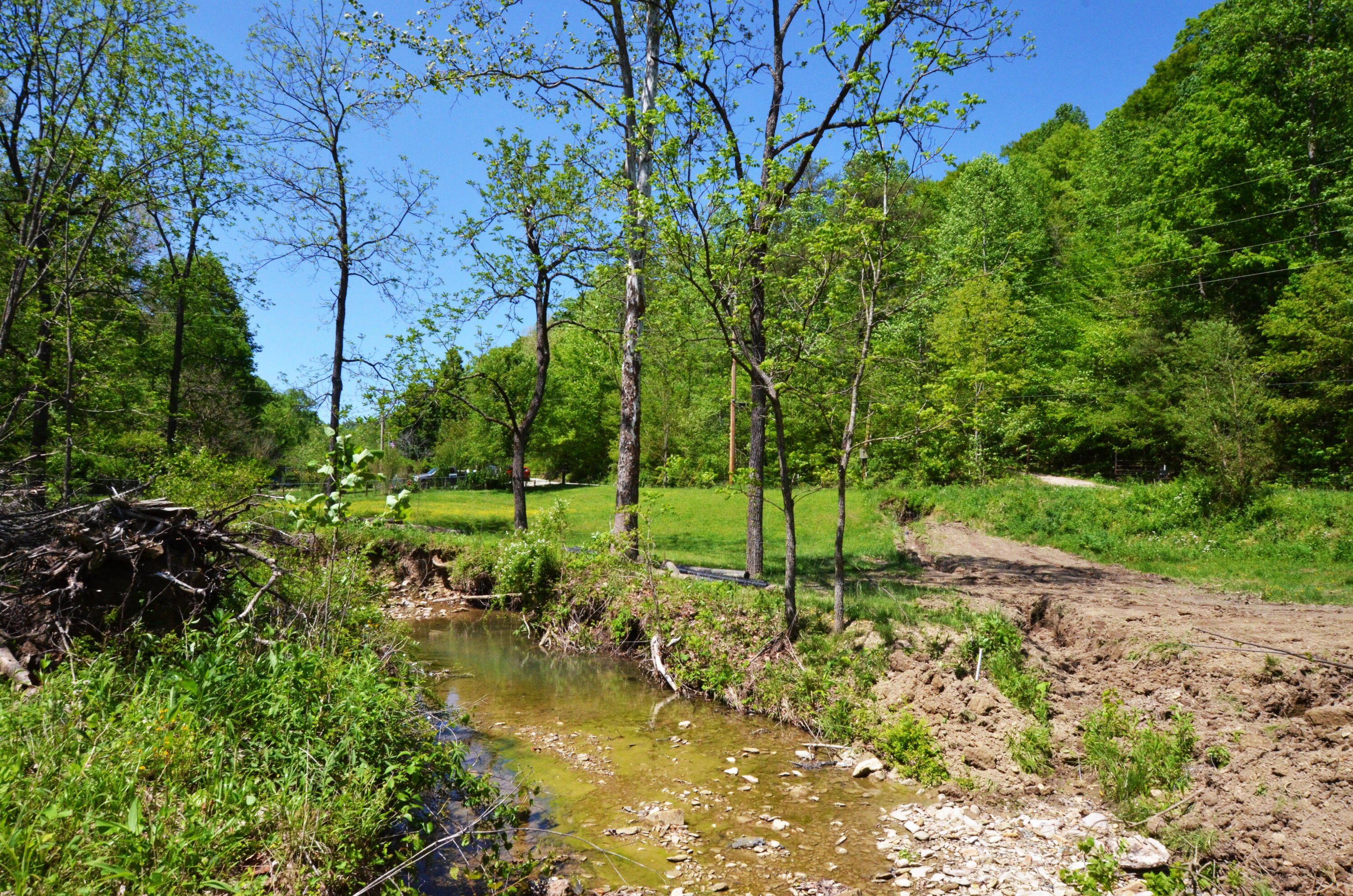 3425 Fitchburg Road Ravenna, KY 40472 - Photo 70 of 76 Needmore hollow Creek!