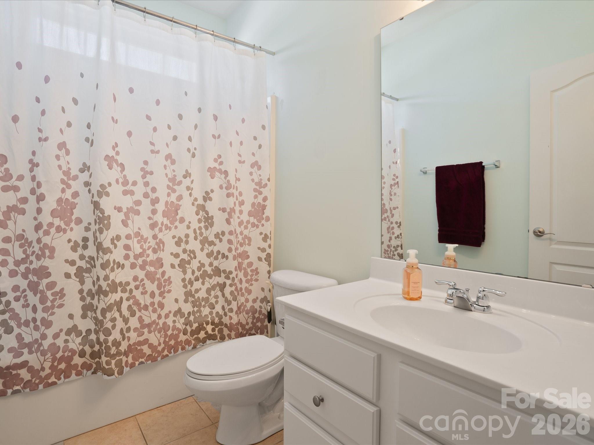 567 Quicksilver Trail Fort Mill, SC 29708 - Photo 20 of 37 a bathroom with a sink toilet and mirror