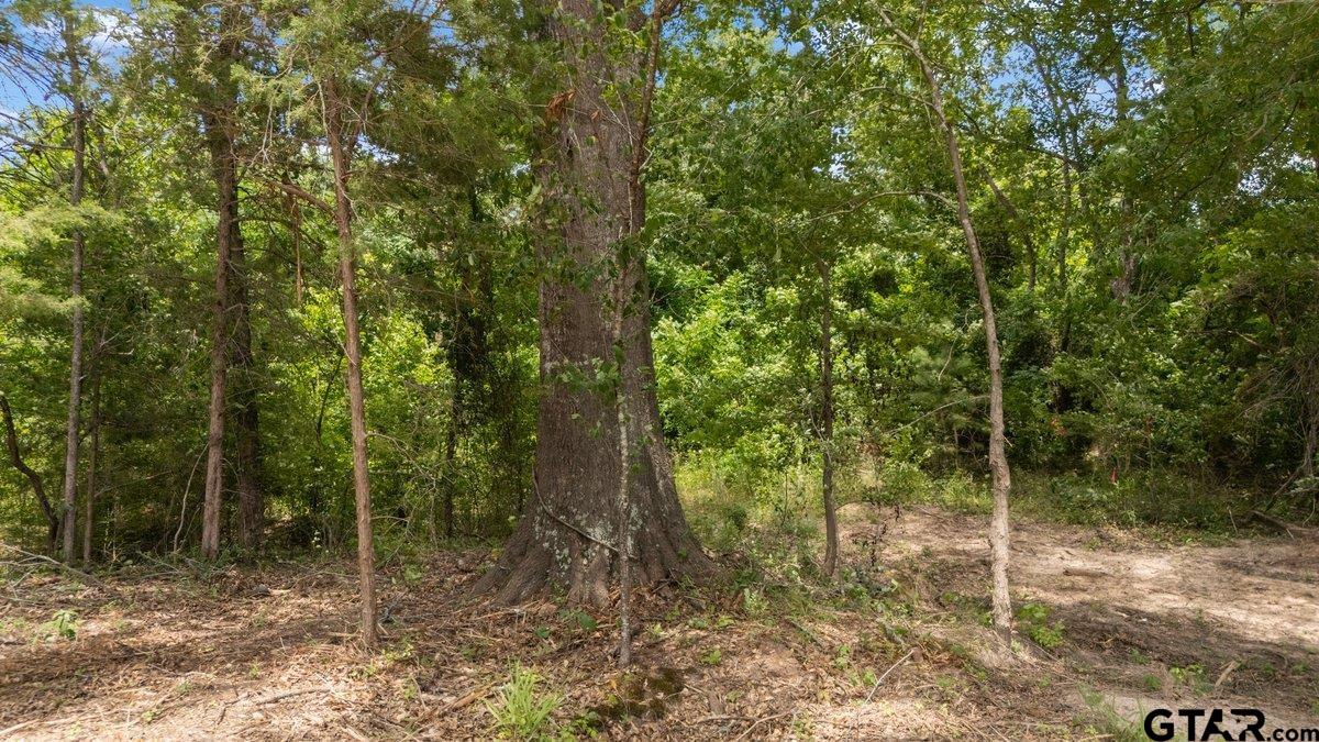 384 County Road Tyler, TX 75708 - Photo 5 of 8