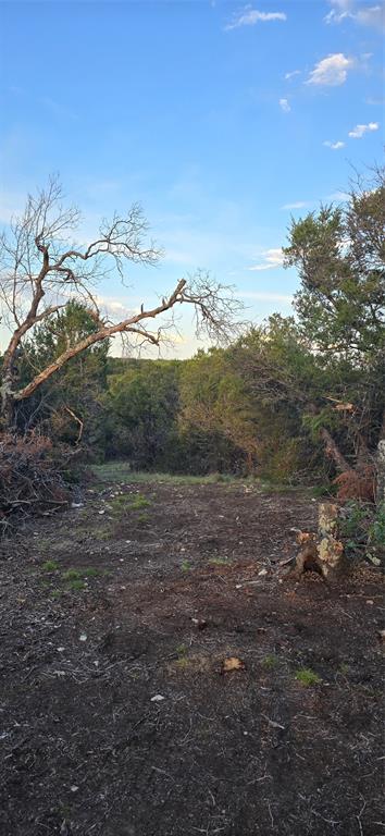 Lot 11-ph Private Road Evant, TX 76525 - Photo 16 of 25 Gallery Image 16