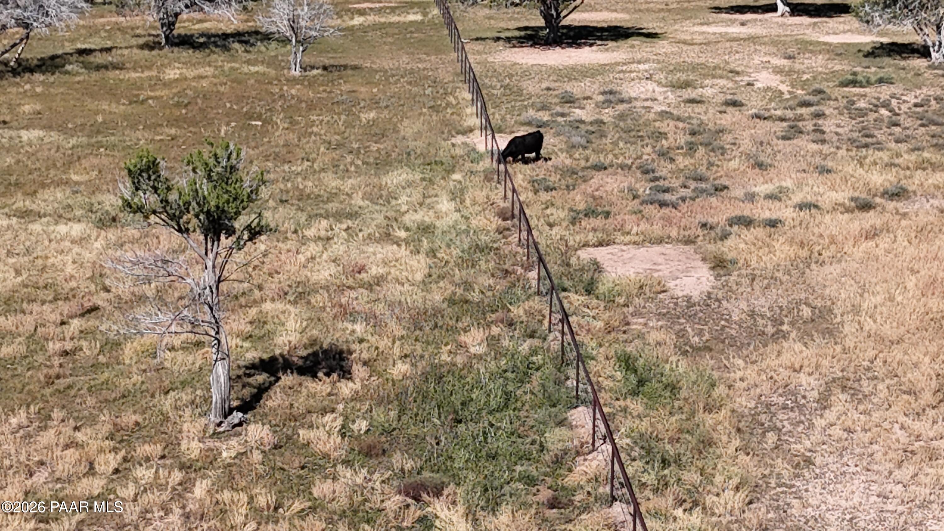 33425 Cowboy Clint Road Seligman, AZ 86337 - Photo 139 of 150 DJI_20261005043922_0048_D