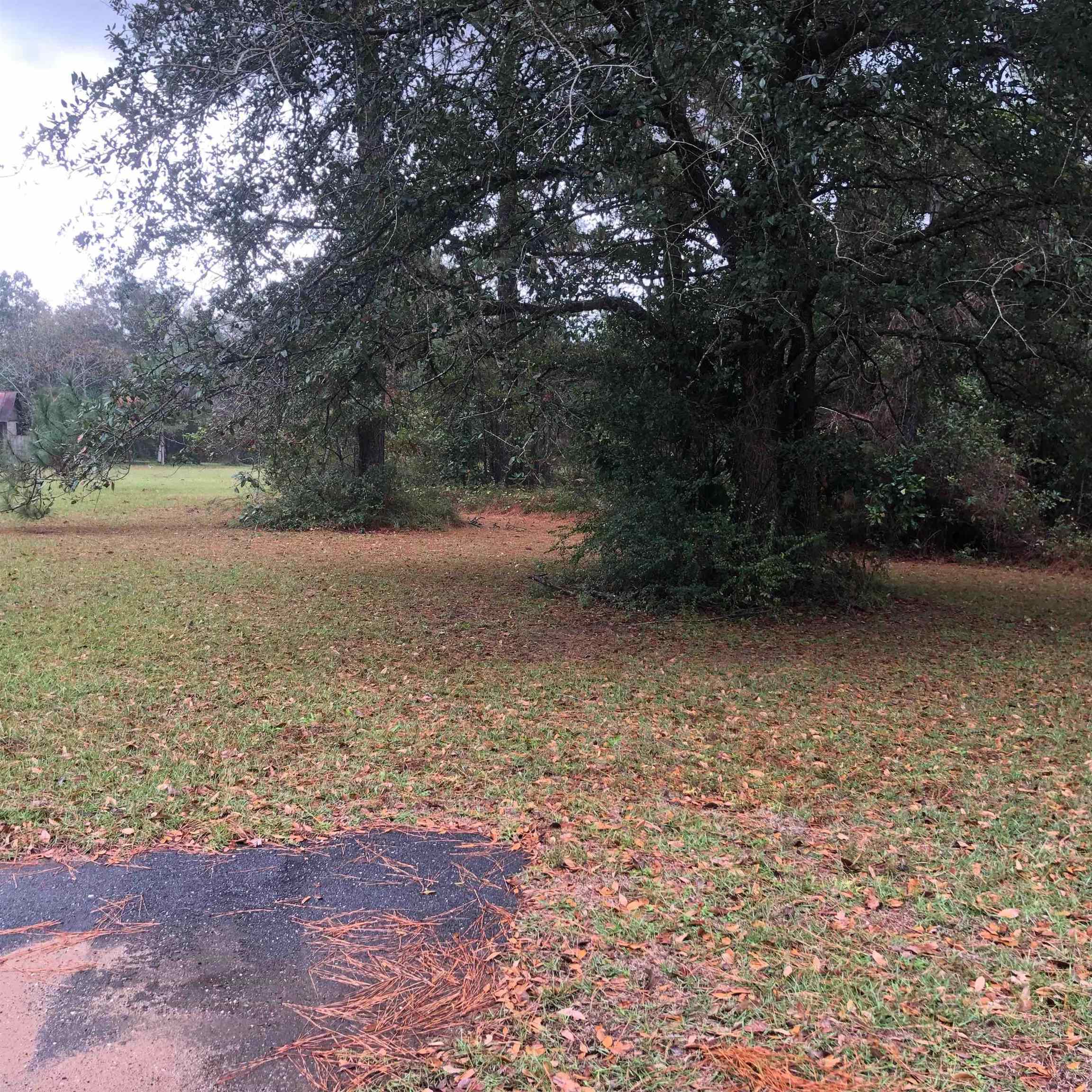 20950 Lacey Road Silverhill, AL 36576 - Photo 13 of 17