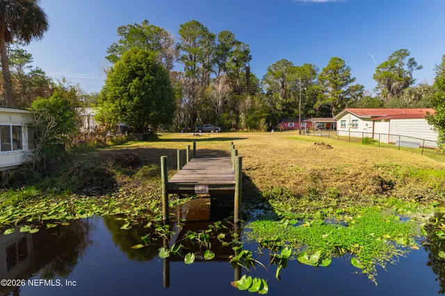 a view of a garden with plants