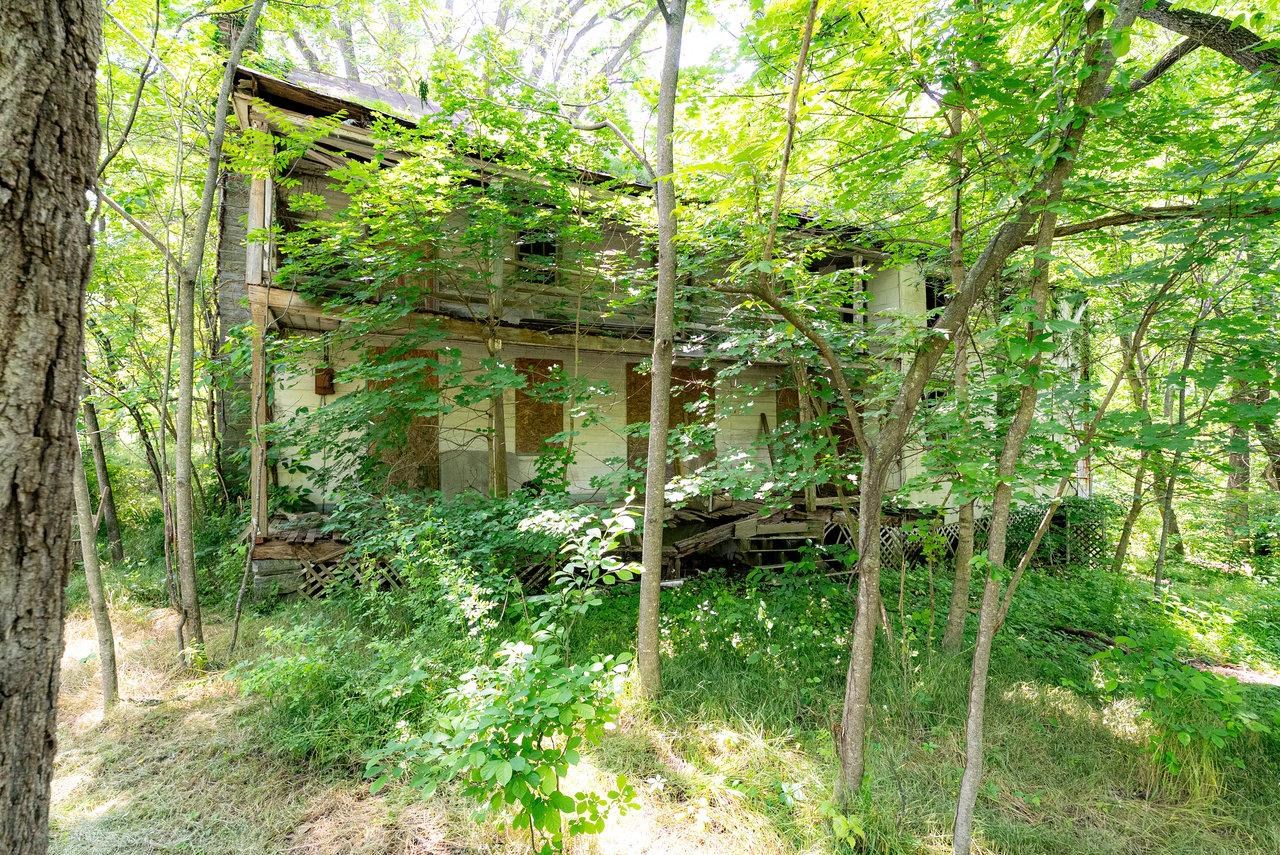 2410 Mauzy Athlone Road Harrisonburg, VA 22802 - Photo 13 of 28 a backyard of a building with lots of trees