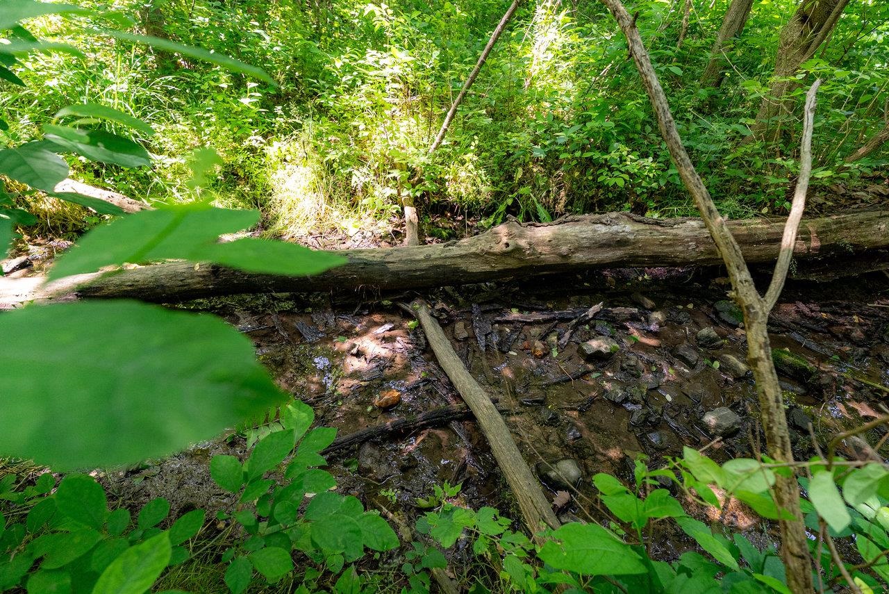 2410 Mauzy Athlone Road Harrisonburg, VA 22802 - Photo 18 of 28 a backyard of a house with lots of green space