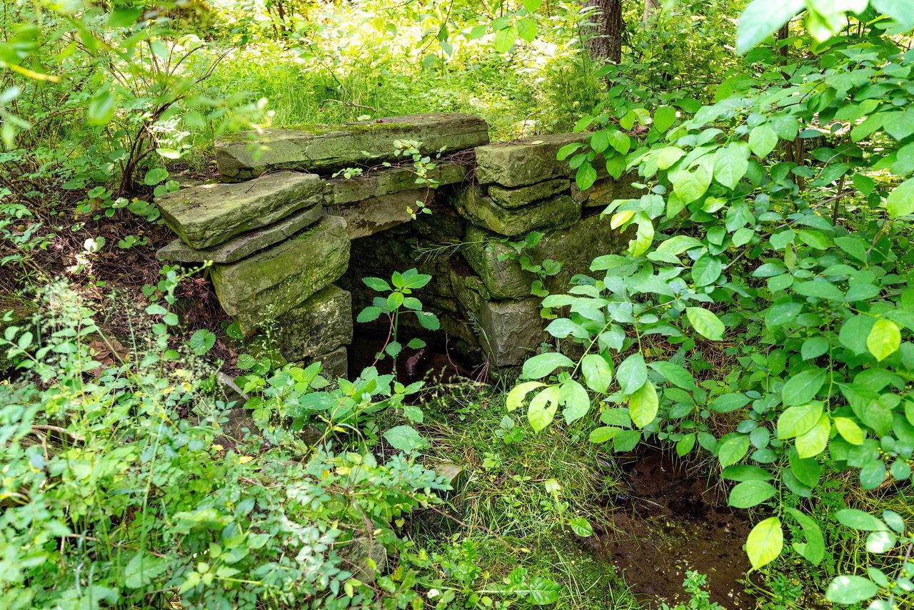 2410 Mauzy Athlone Road Harrisonburg, VA 22802 - Photo 20 of 28 a backyard of a bunch of trees