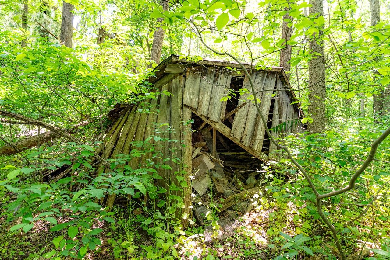 2410 Mauzy Athlone Road Harrisonburg, VA 22802 - Photo 22 of 28 a view of outdoor space