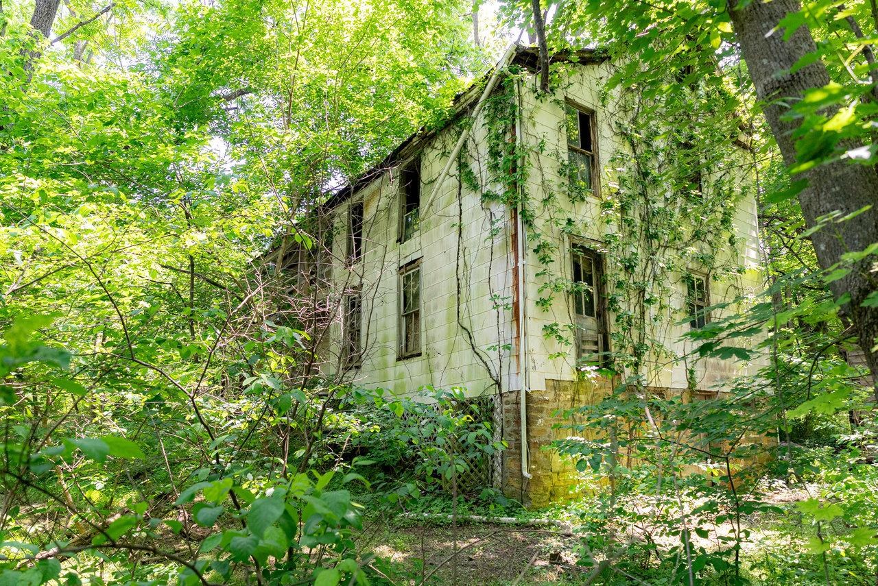 2410 Mauzy Athlone Road Harrisonburg, VA 22802 - Photo 7 of 28 a plant that is in front of a building