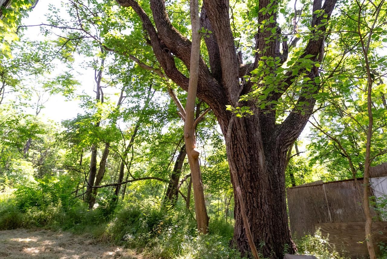 2410 Mauzy Athlone Road Harrisonburg, VA 22802 - Photo 10 of 28