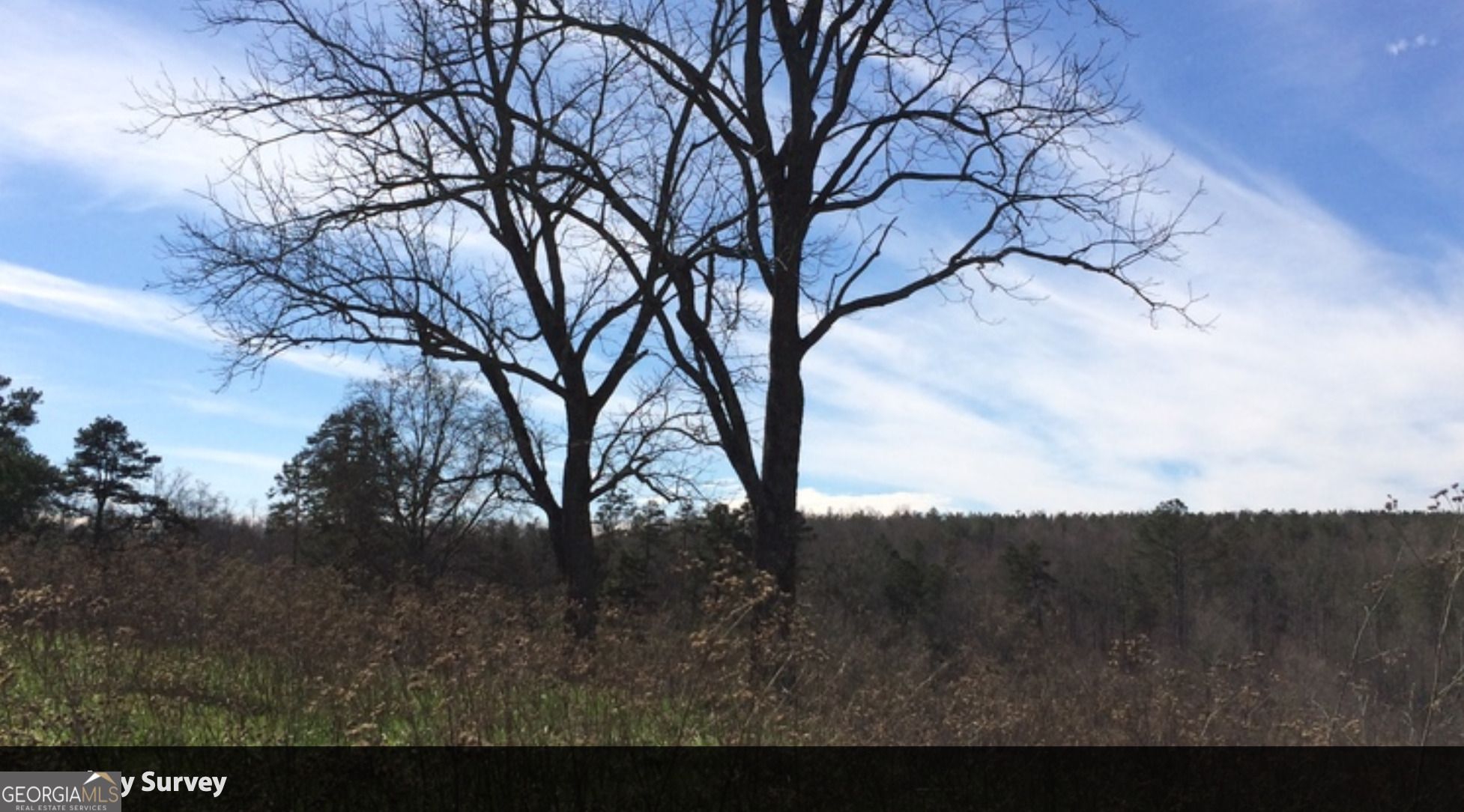 1911 Ridgeway Church Road Commerce, GA 30529 - Photo 8 of 13 a view of mountain view with lots of trees