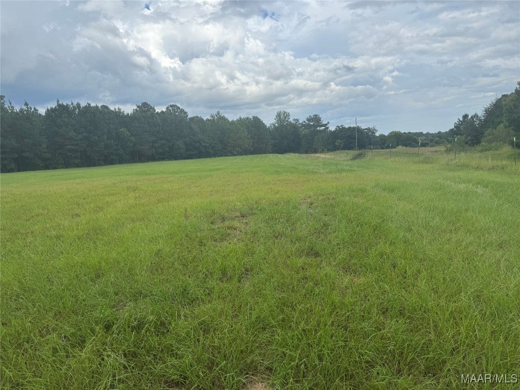 2 White Tail Ridge Deatsville, AL 36022 - Photo 7 of 16 Gallery Image 7