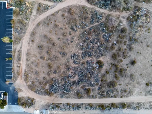 a view of a dry yard with trees