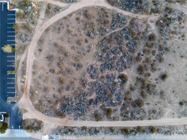 a view of a dry yard with trees
