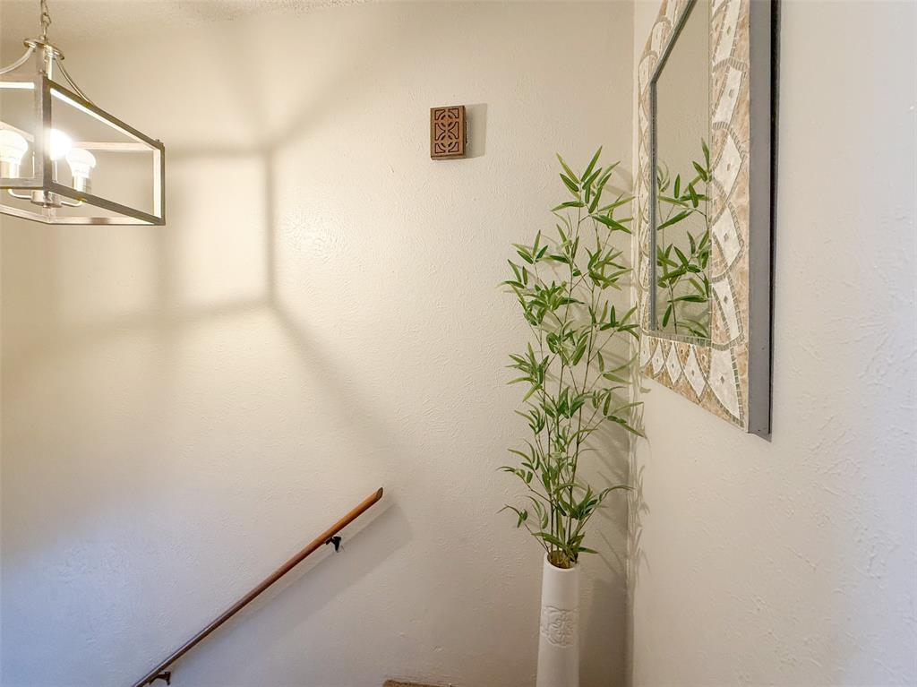 1237 Dallas Drive Denton, TX 76205 - Photo 6 of 18 a view of a plant in a window