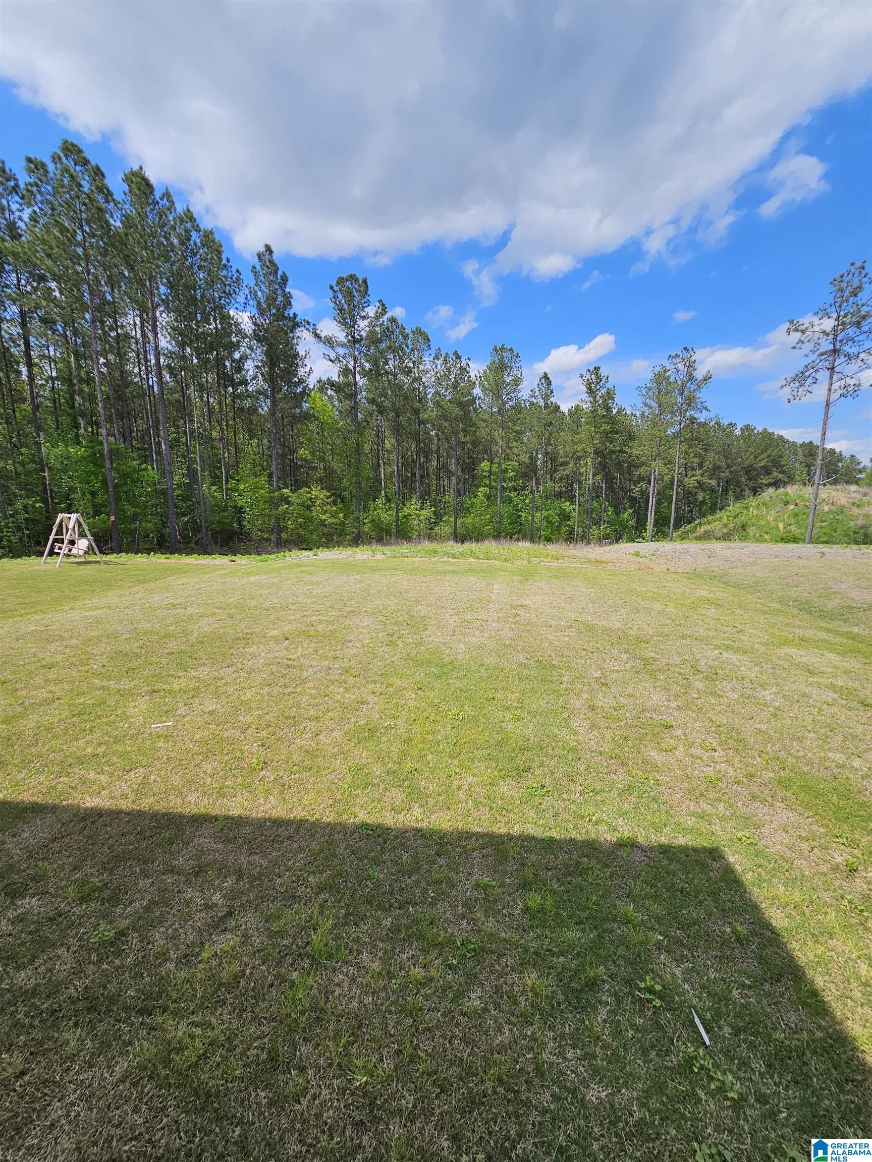2187 Springfield Drive Chelsea, AL 35043 - Photo 21 of 26