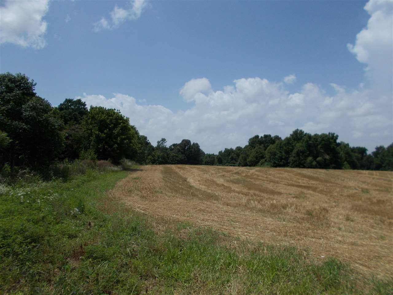 1465 Porter's Gap Road Ripley, TN 38063 - Photo 1 of 15 Gallery Image 1