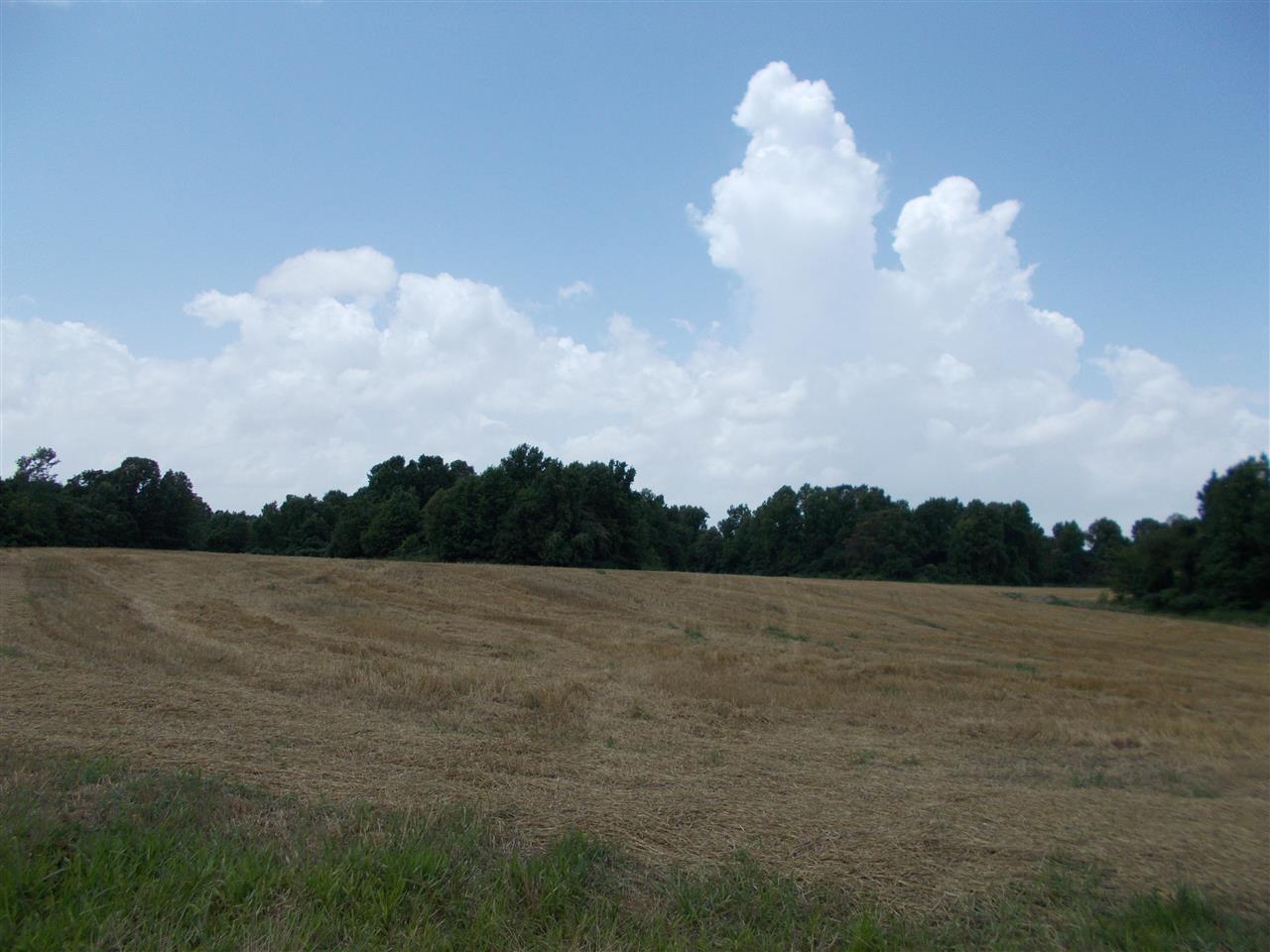 1465 Porter's Gap Road Ripley, TN 38063 - Photo 2 of 15 Gallery Image 2