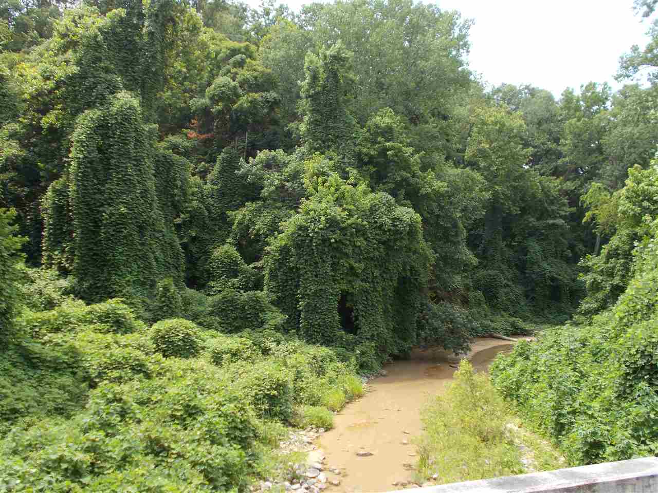 1465 Porter's Gap Road Ripley, TN 38063 - Photo 11 of 15 Gallery Image 11