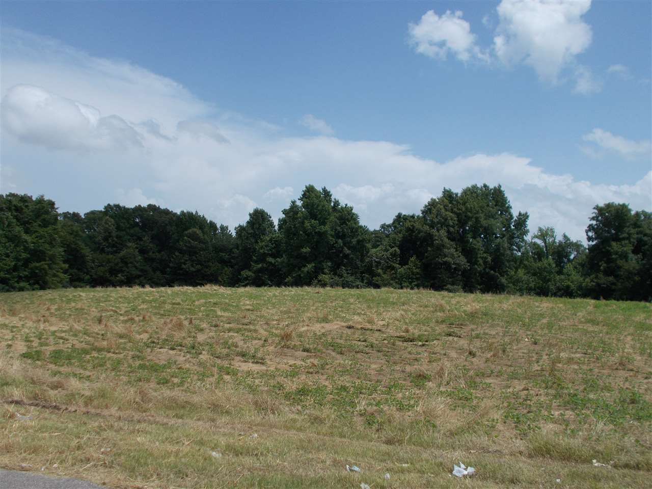 1465 Porter's Gap Road Ripley, TN 38063 - Photo 12 of 15 Gallery Image 12