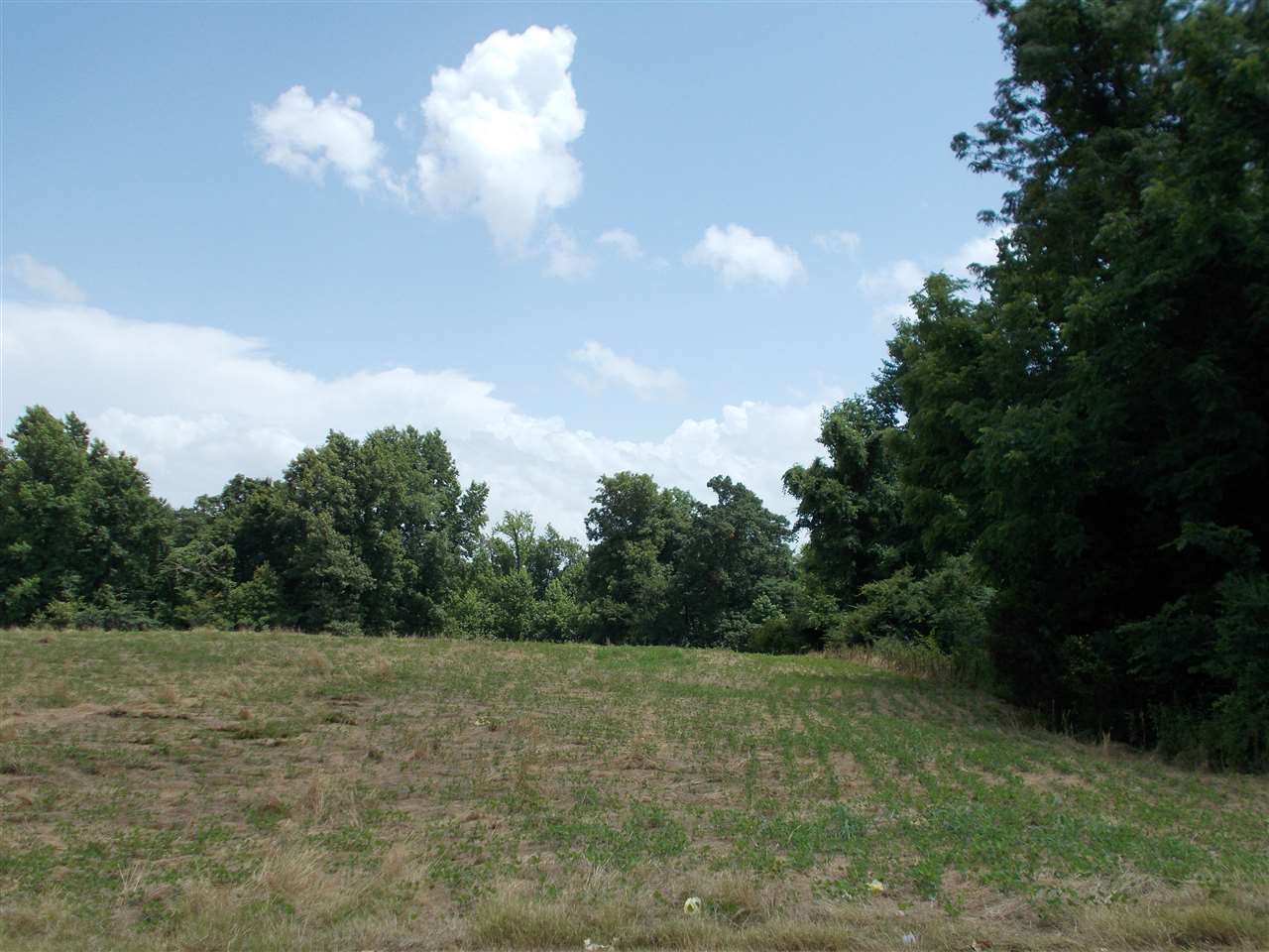 1465 Porter's Gap Road Ripley, TN 38063 - Photo 13 of 15 Gallery Image 13