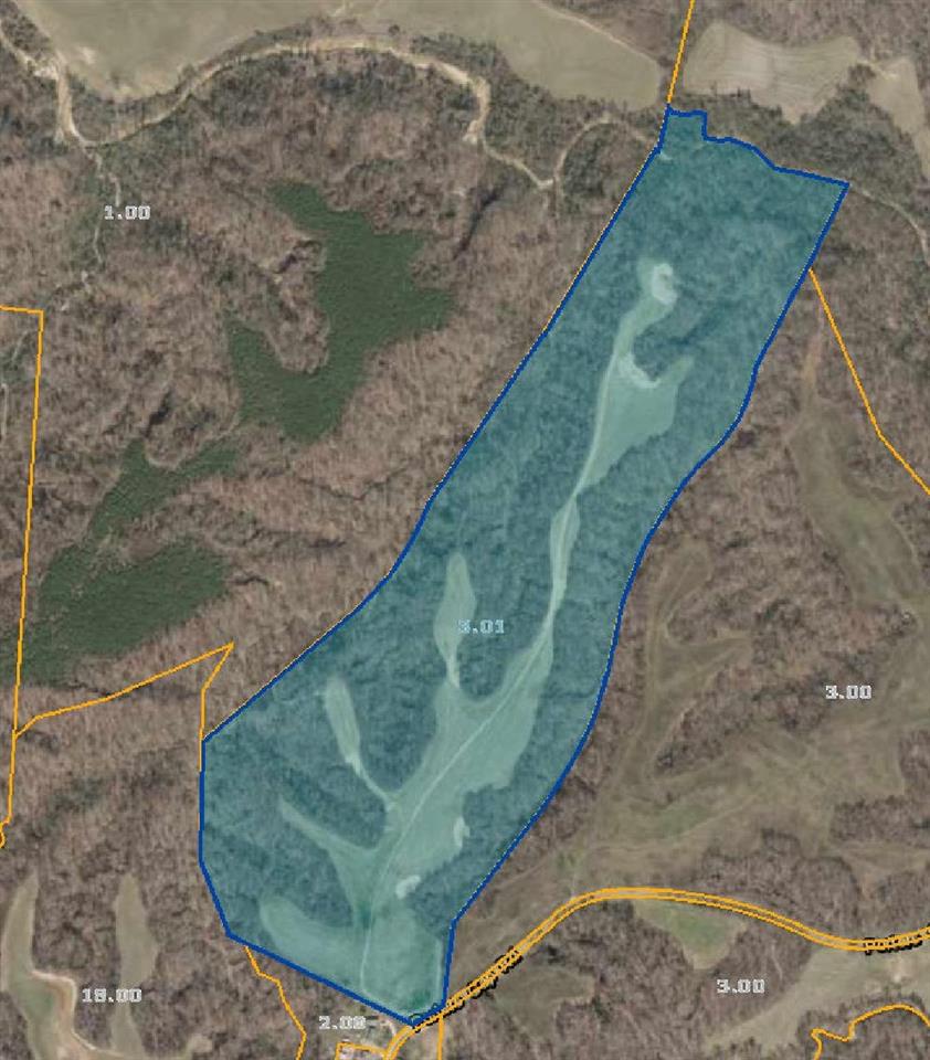 1465 Porter's Gap Road Ripley, TN 38063 - Photo 14 of 15 Gallery Image 14