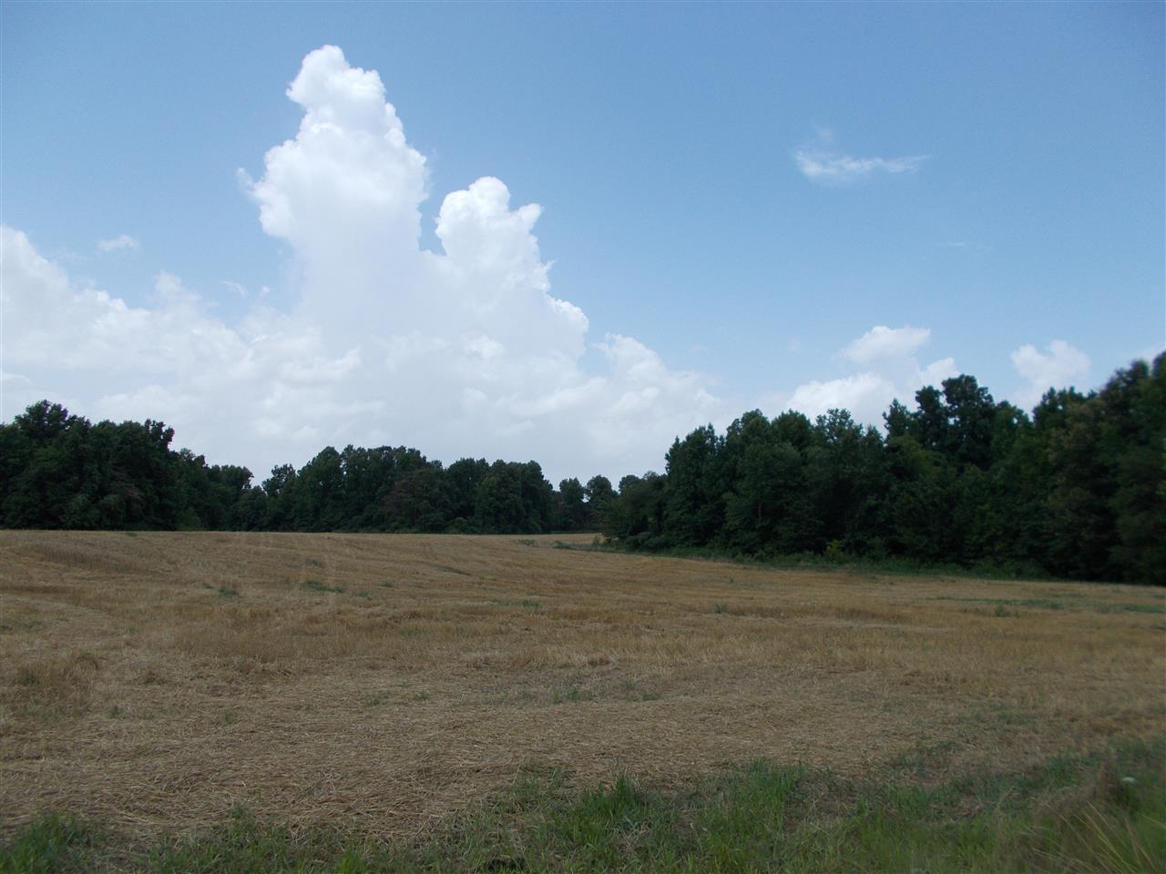 1465 Porter's Gap Road Ripley, TN 38063 - Photo 3 of 15 Gallery Image 3