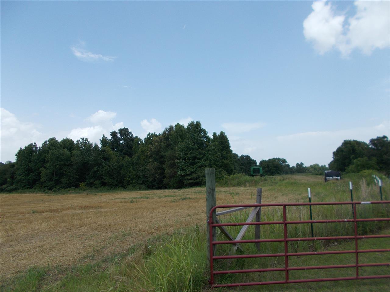 1465 Porter's Gap Road Ripley, TN 38063 - Photo 4 of 15 Gallery Image 4