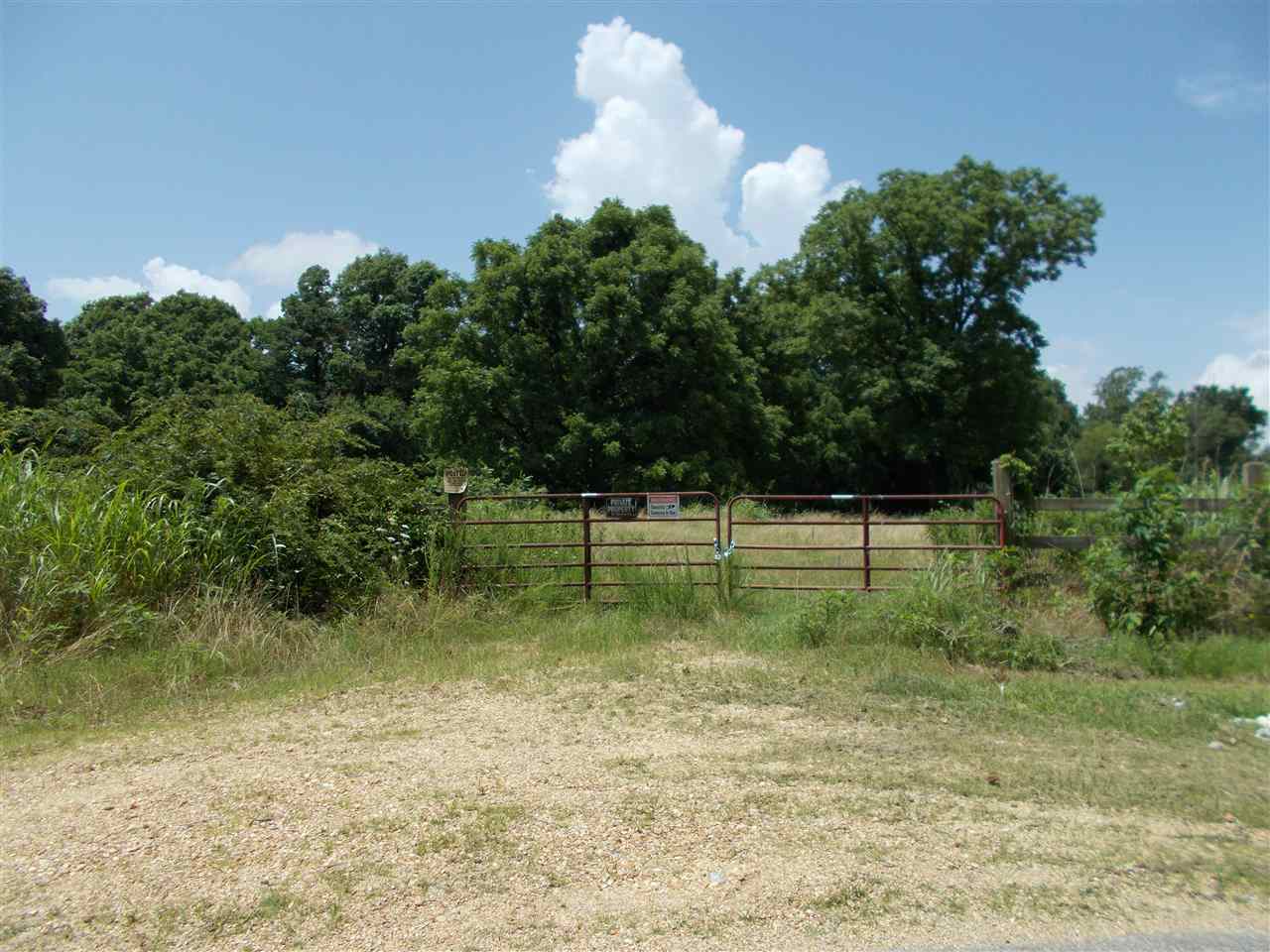 1465 Porter's Gap Road Ripley, TN 38063 - Photo 5 of 15 Gallery Image 5