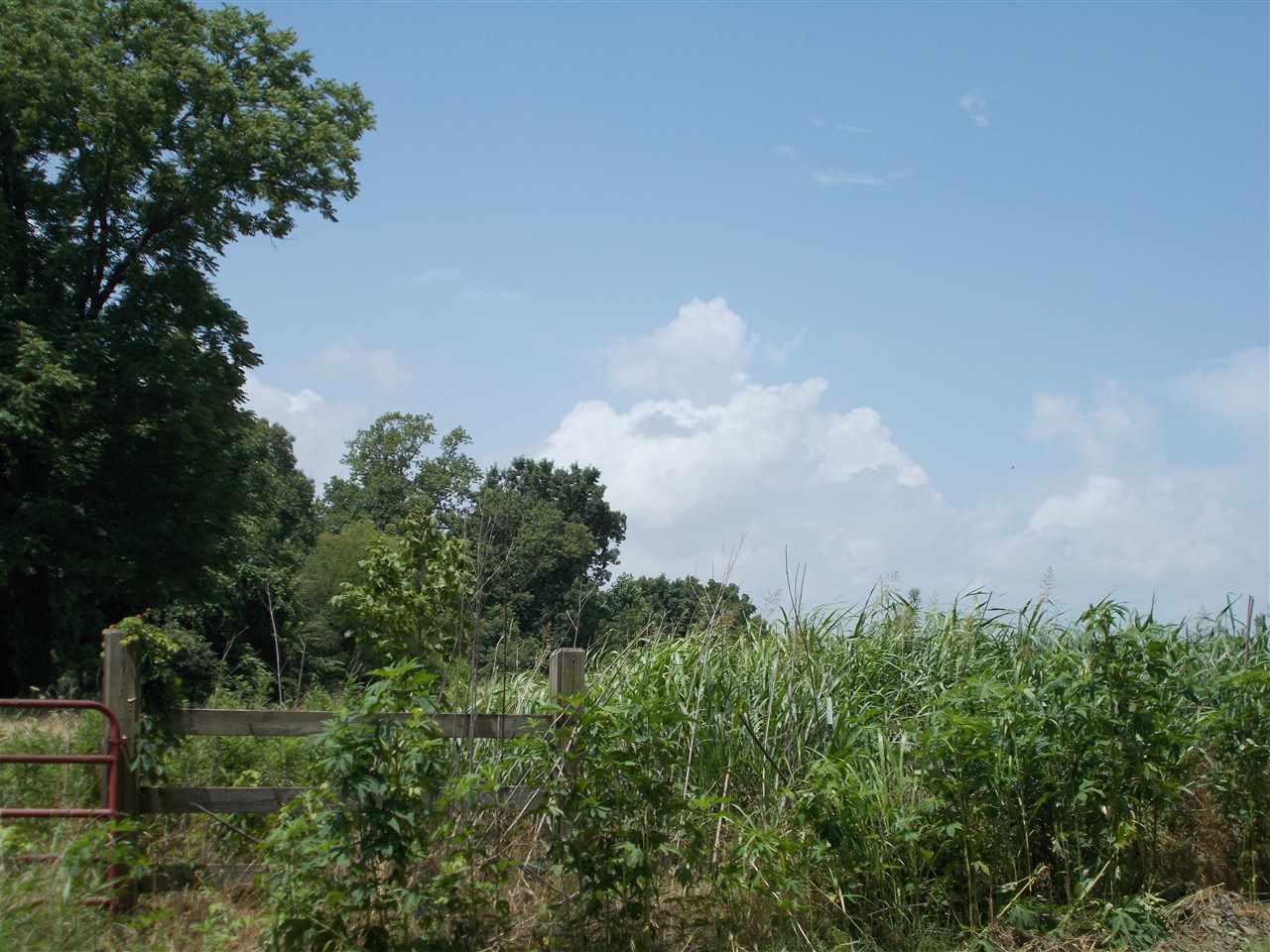 1465 Porter's Gap Road Ripley, TN 38063 - Photo 7 of 15 Gallery Image 7