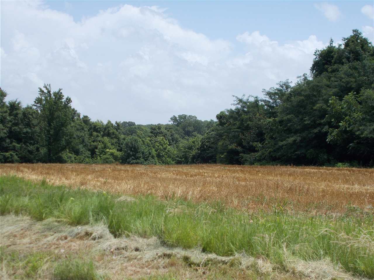 1465 Porter's Gap Road Ripley, TN 38063 - Photo 8 of 15 Gallery Image 8