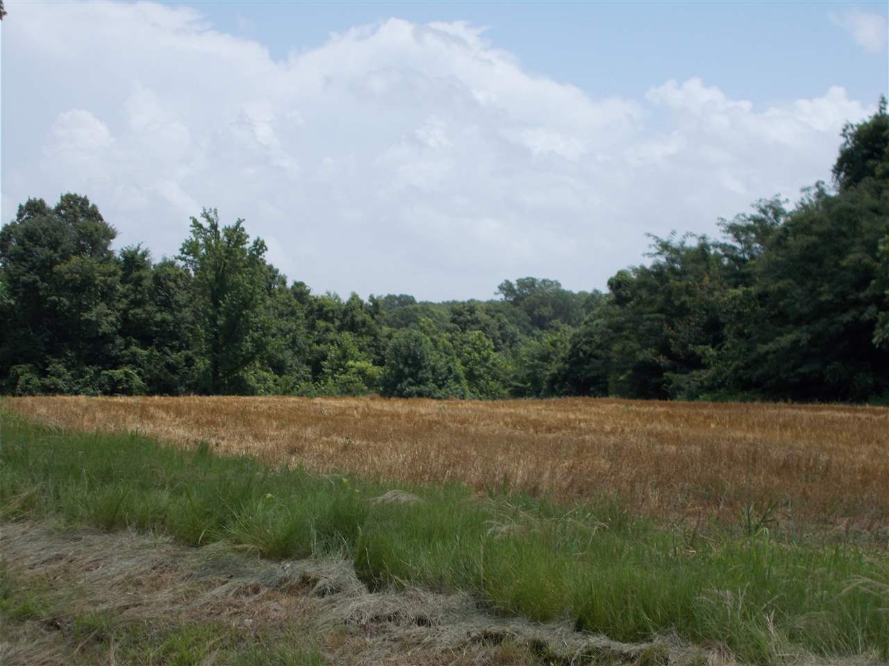 1465 Porter's Gap Road Ripley, TN 38063 - Photo 9 of 15 Gallery Image 9