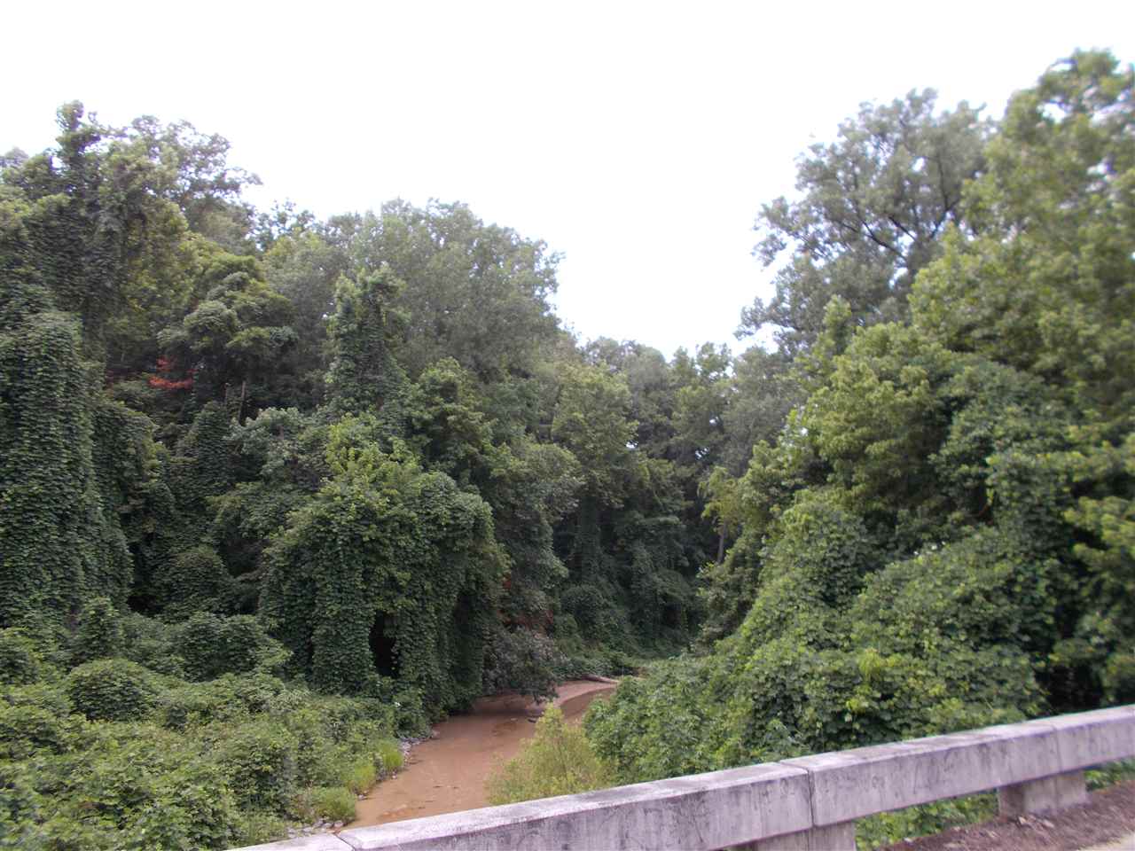 1465 Porter's Gap Road Ripley, TN 38063 - Photo 10 of 15 Gallery Image 10