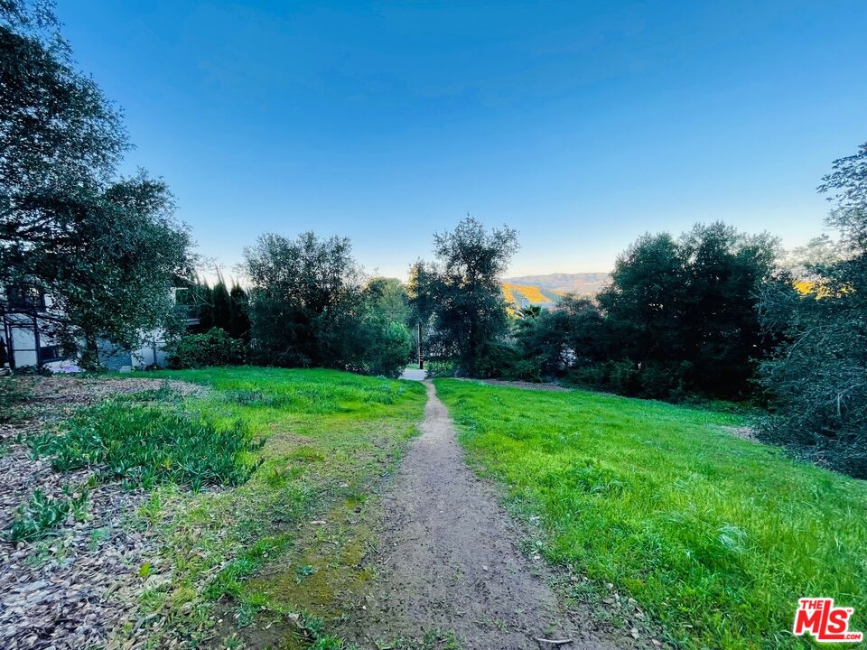 23670 Summit Drive Calabasas, CA 91302 - Photo 3 of 8 a view of a park with trees in the background