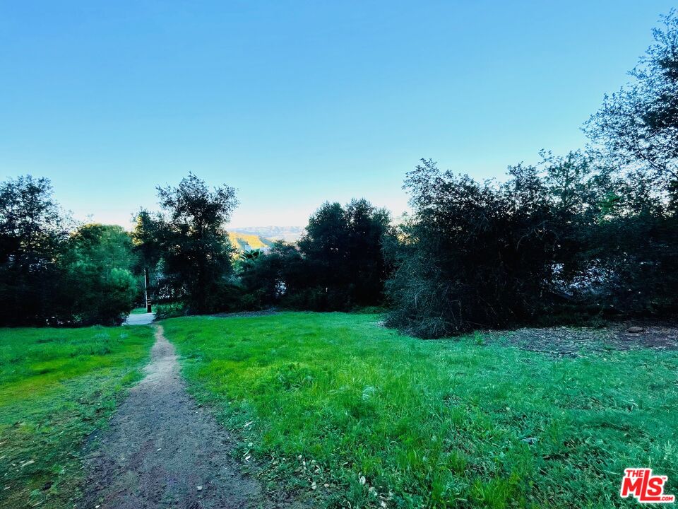 23670 Summit Drive Calabasas, CA 91302 - Photo 5 of 8 a view of a garden with a trees