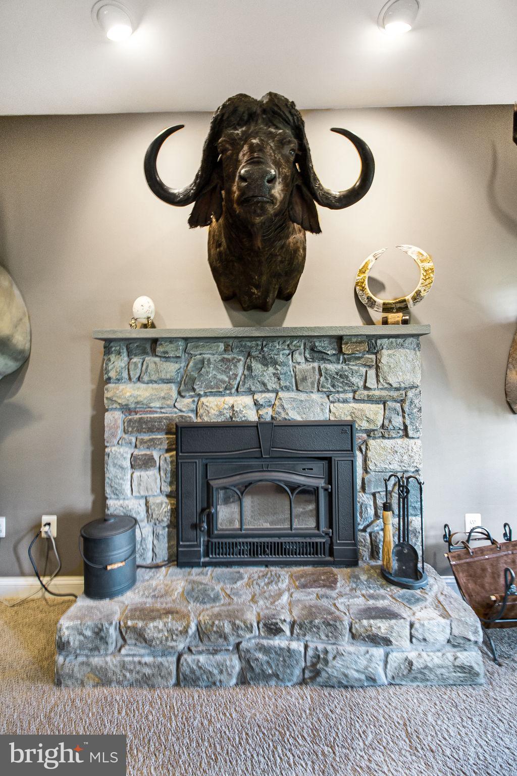 22841 West Harris Road Dickerson, MD 20842 - Photo 47 of 65 wood burning fireplace with insert