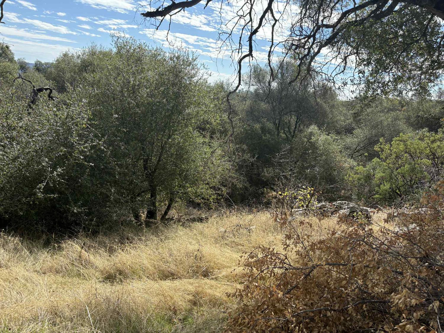 38699 Road 600 Raymond, CA 93653 - Photo 11 of 12