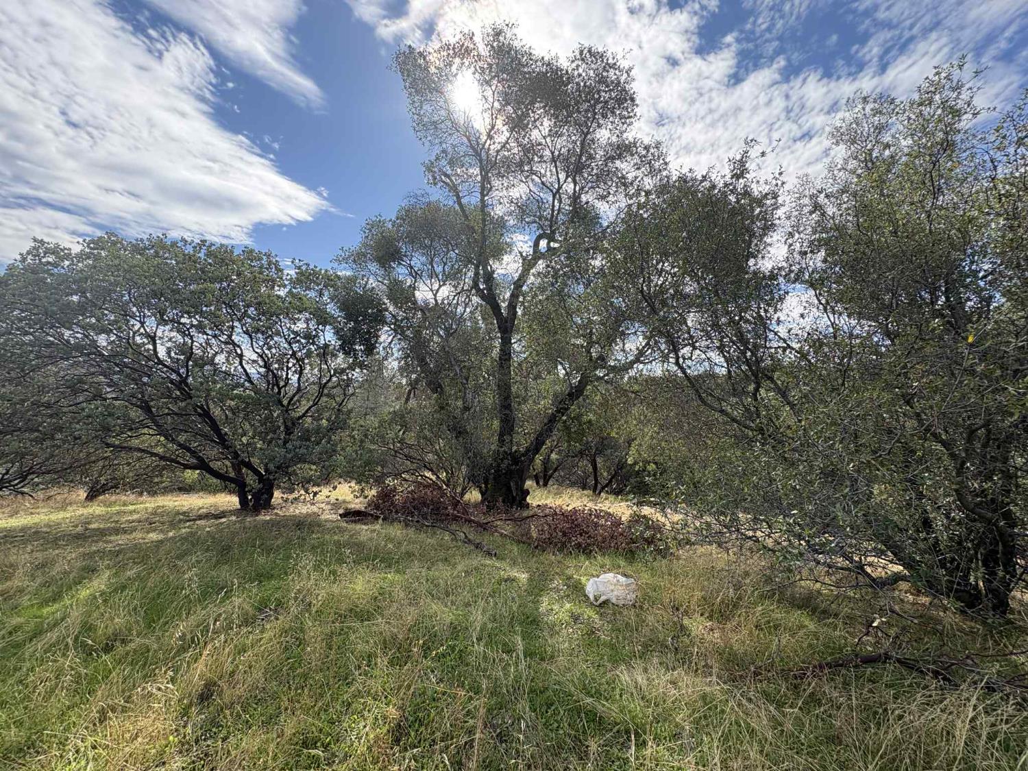 38699 Road 600 Raymond, CA 93653 - Photo 2 of 12 a view of outdoor space with yard