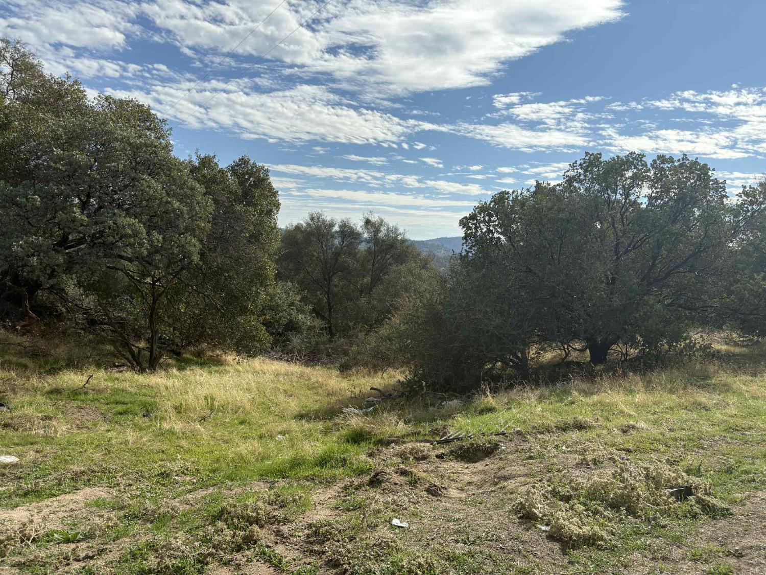 38699 Road 600 Raymond, CA 93653 - Photo 7 of 12 a view of outdoor space and yard