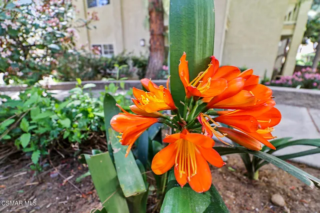 a view of a dining room with furniture and a chandelier